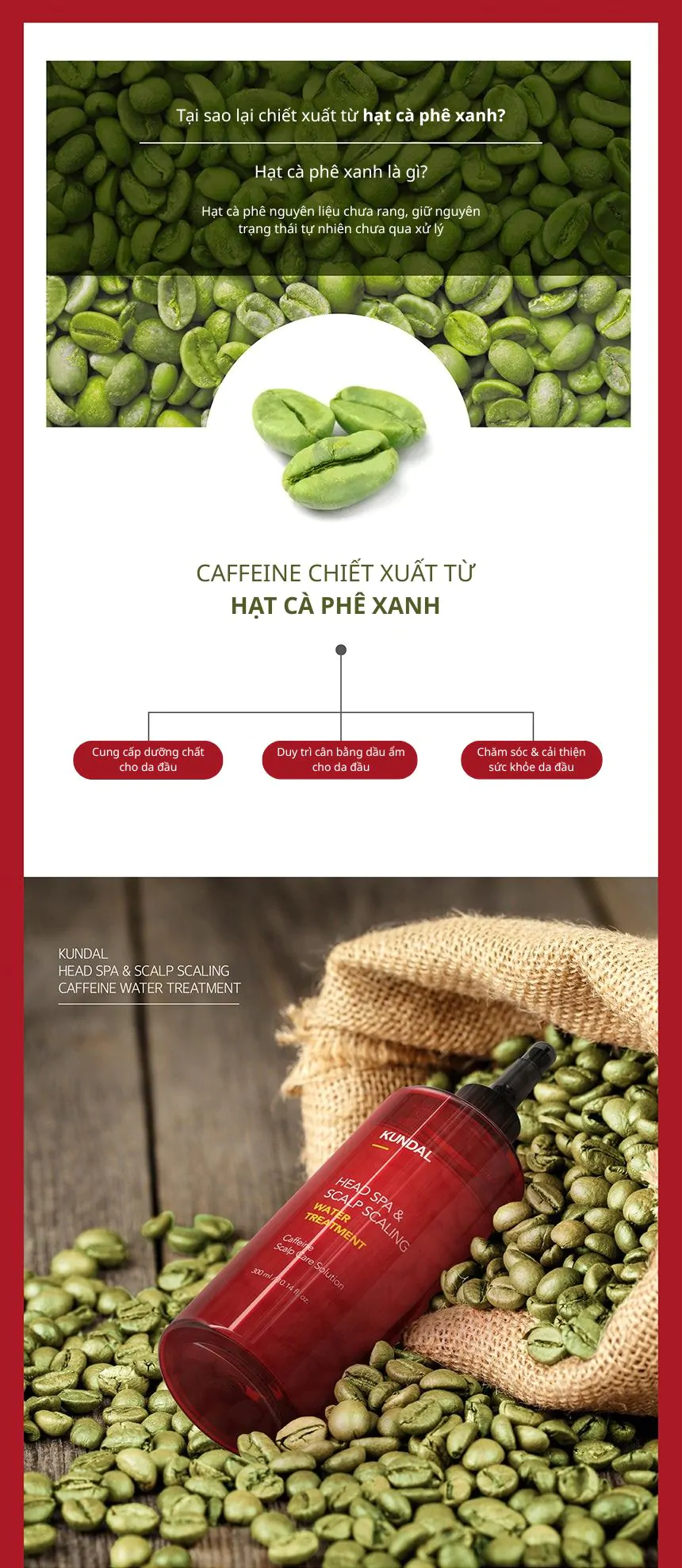 Nước Phục Hồi Da Đầu Và Ngăn Ngừa Rụng Tóc Kundal Caffeine 300ml