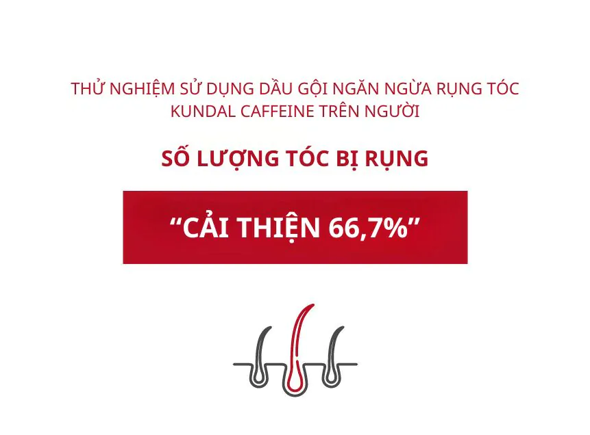 Dầu Gội Ngăn Ngừa Rụng Tóc KUNDAL Caffeine 500ml