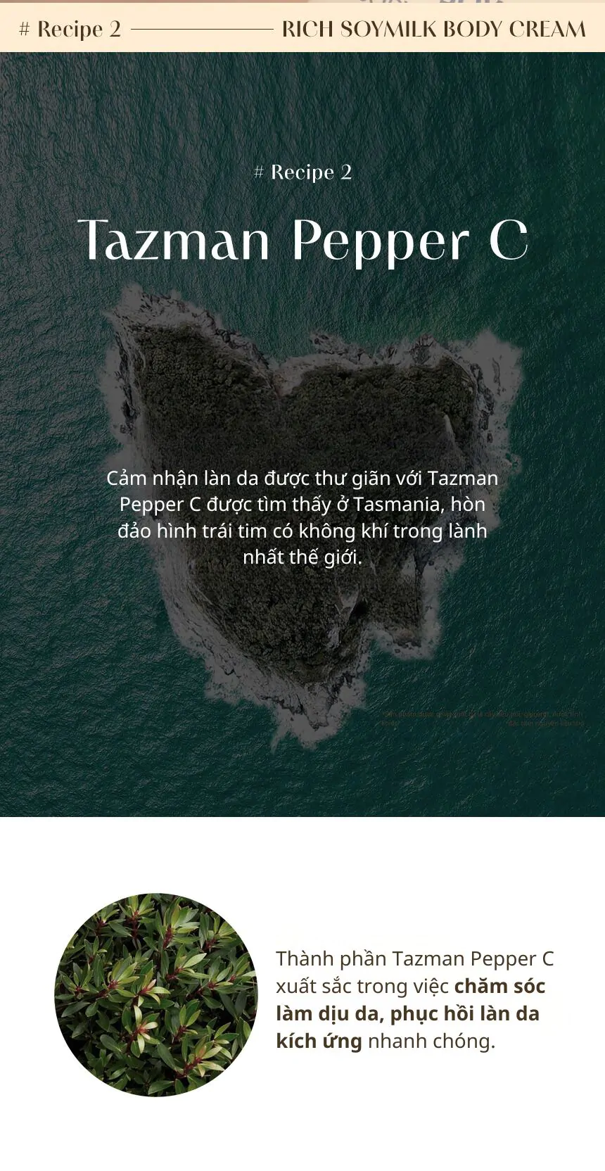 Sữa tắm dưỡng ẩm Kundal Rich Soymilk 500ml