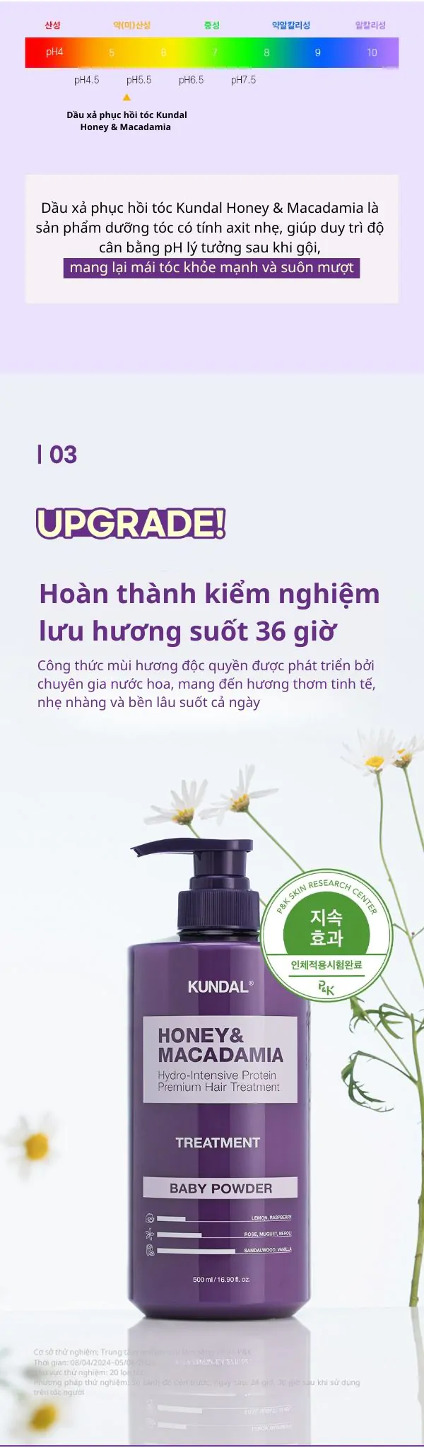 Dầu Xả Phục Hồi Tóc KUNDAL Honey&#038;Macadamia 500ml