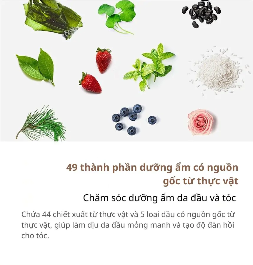 Set Dầu Gội &#8211; Dầu Xả Kundal Honey&#038;Macadamia 500ml*2ea