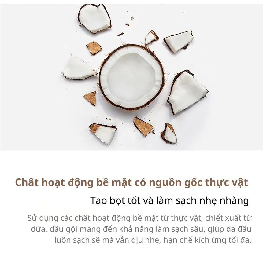 Set Dầu Gội &#8211; Dầu Xả Kundal Honey&#038;Macadamia 500ml*2ea