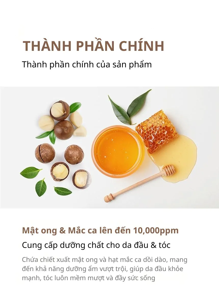 Set Dầu Gội &#8211; Dầu Xả Kundal Honey&#038;Macadamia 500ml*2ea