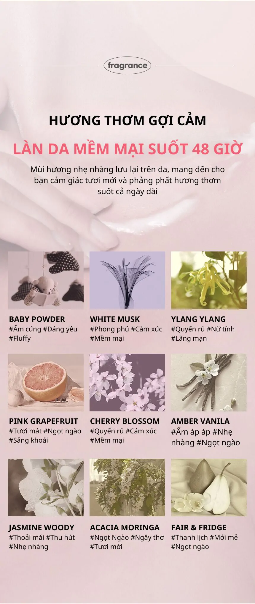 Sữa Dưỡng Thể Kundal Honey &#038; Macadamia 500ml