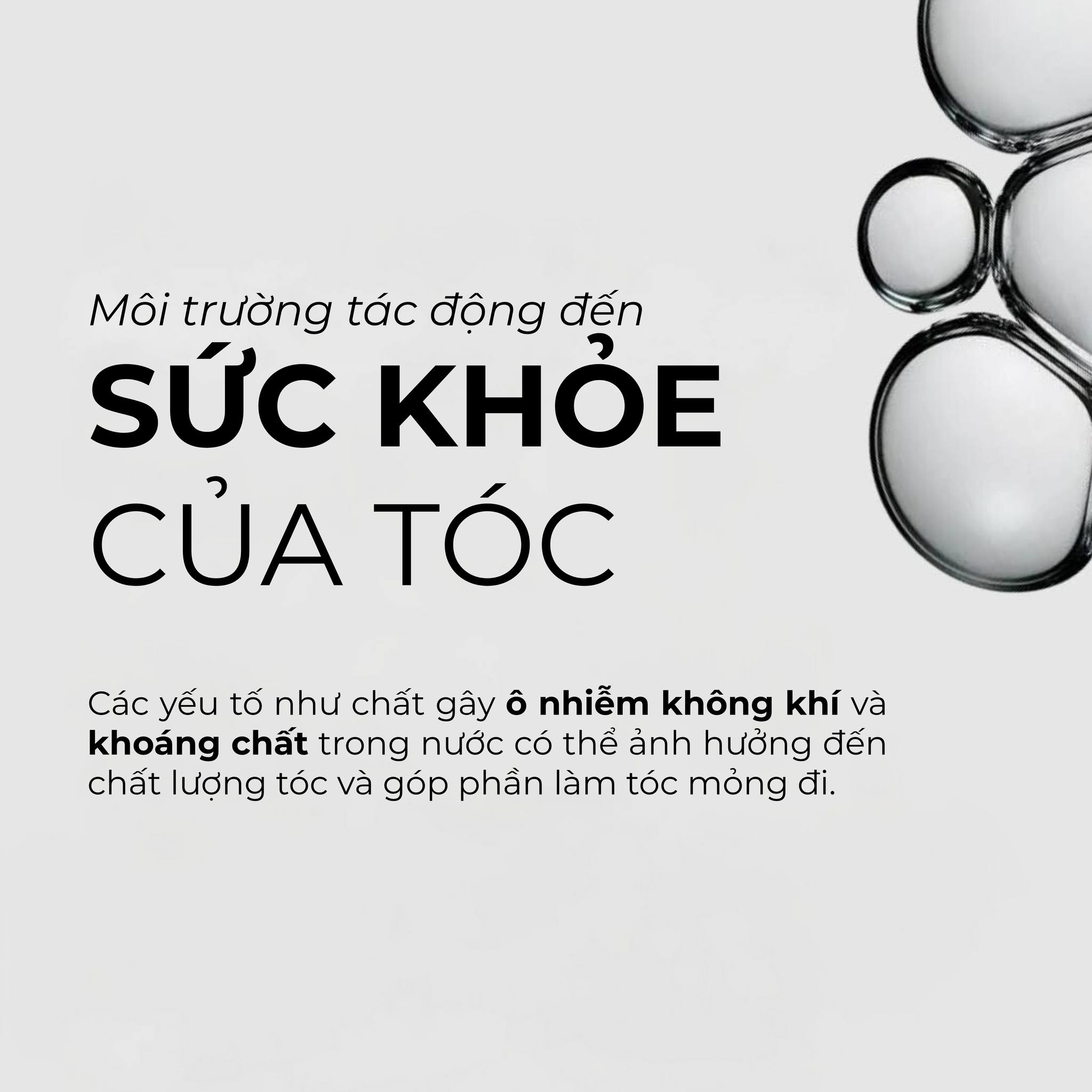 Tình Trạng Rụng Tóc Kéo Dài – Dấu Hiệu Cơ Thể Đang Kêu Cứu Mà Bạn Không Ngờ Tới!