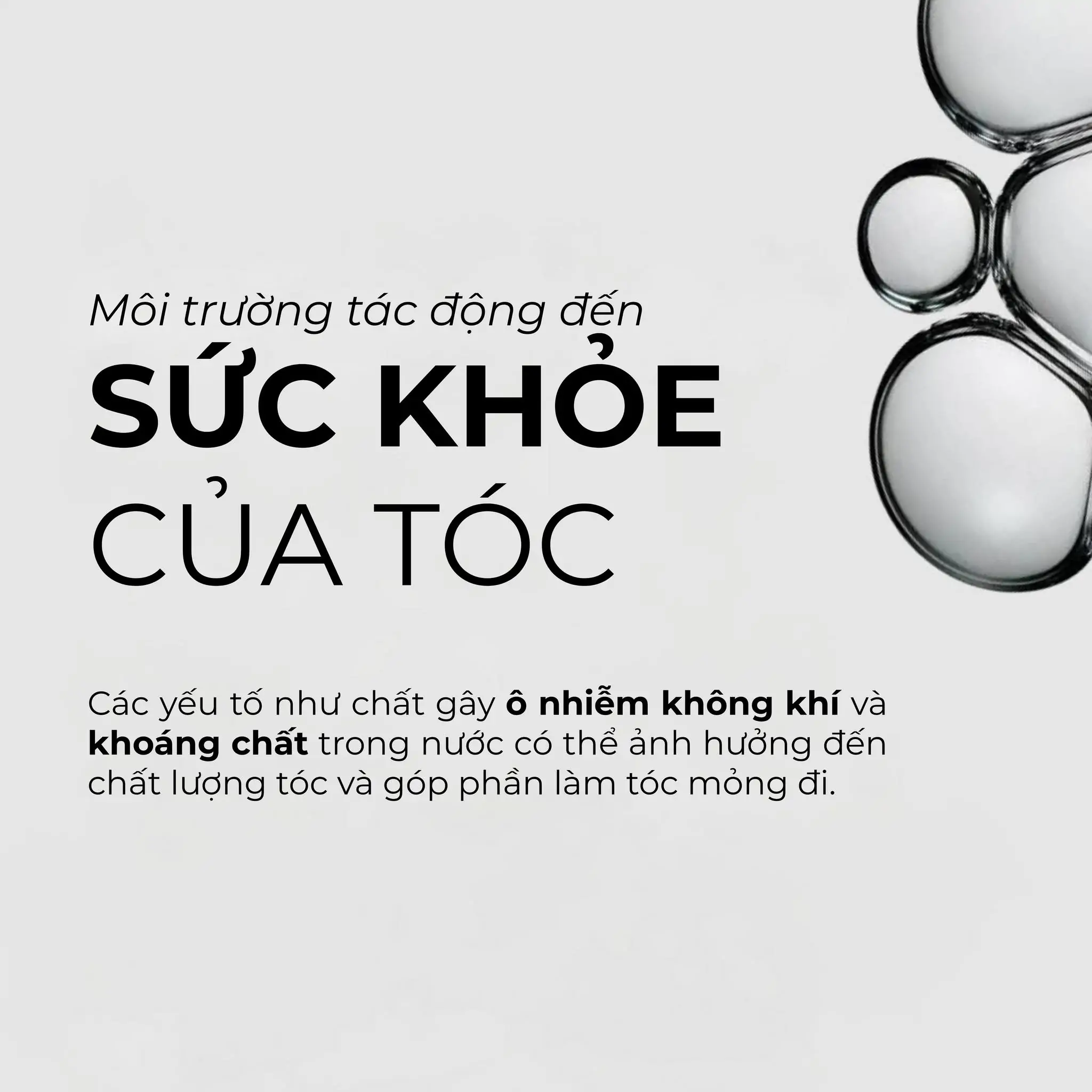 Tình Trạng Rụng Tóc Kéo Dài – Dấu Hiệu Cơ Thể Đang Kêu Cứu Mà Bạn Không Ngờ Tới!