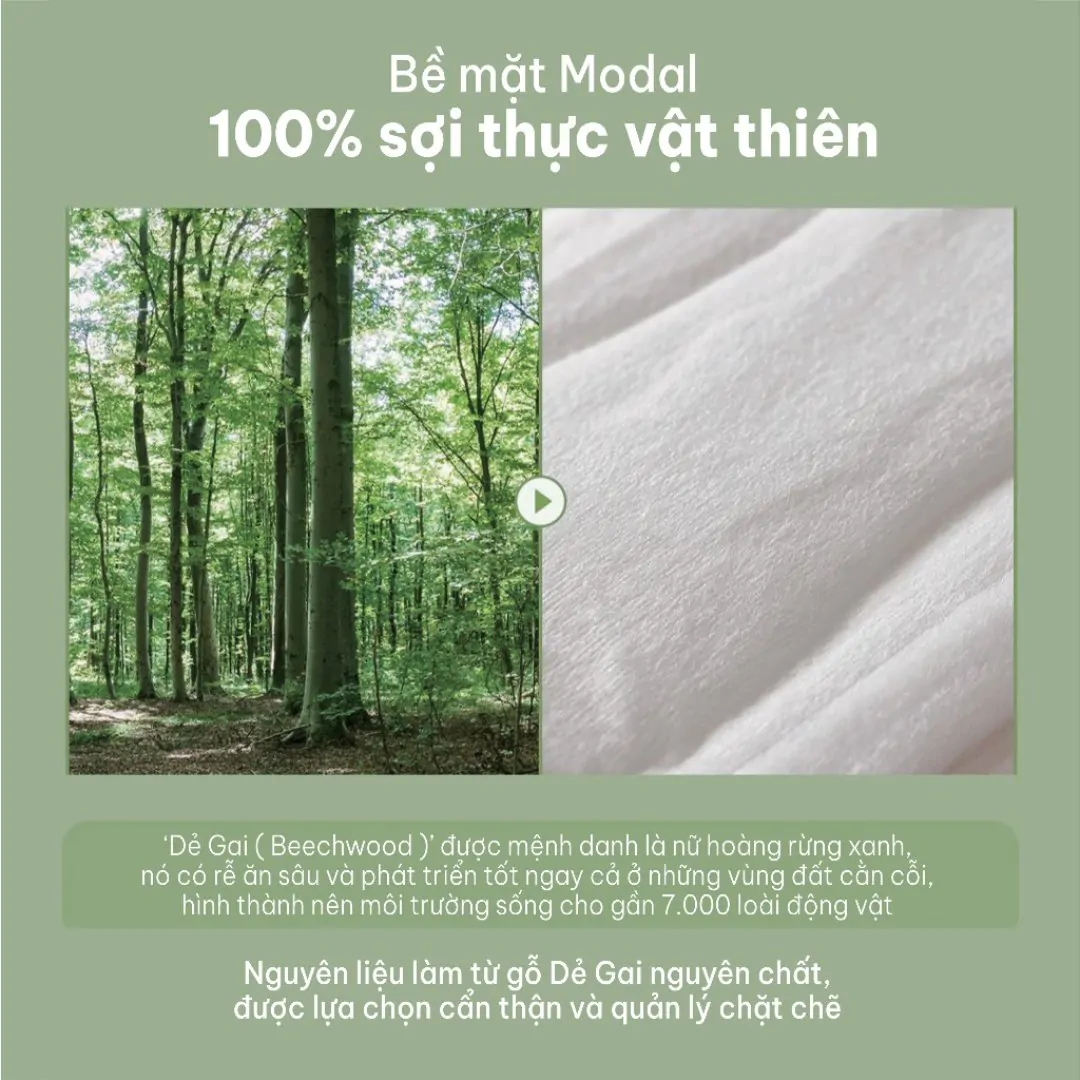 Băng vệ sinh Real Modal ban ngày có cánh 26cm M (16 miếng)