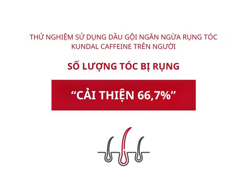 Dầu Gội KUNDAL Caffeine 500ml