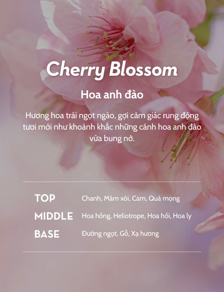 Dầu xả phục hồi tóc Collagen Kundal Rich Perfume - Cherry Blossom 150ml