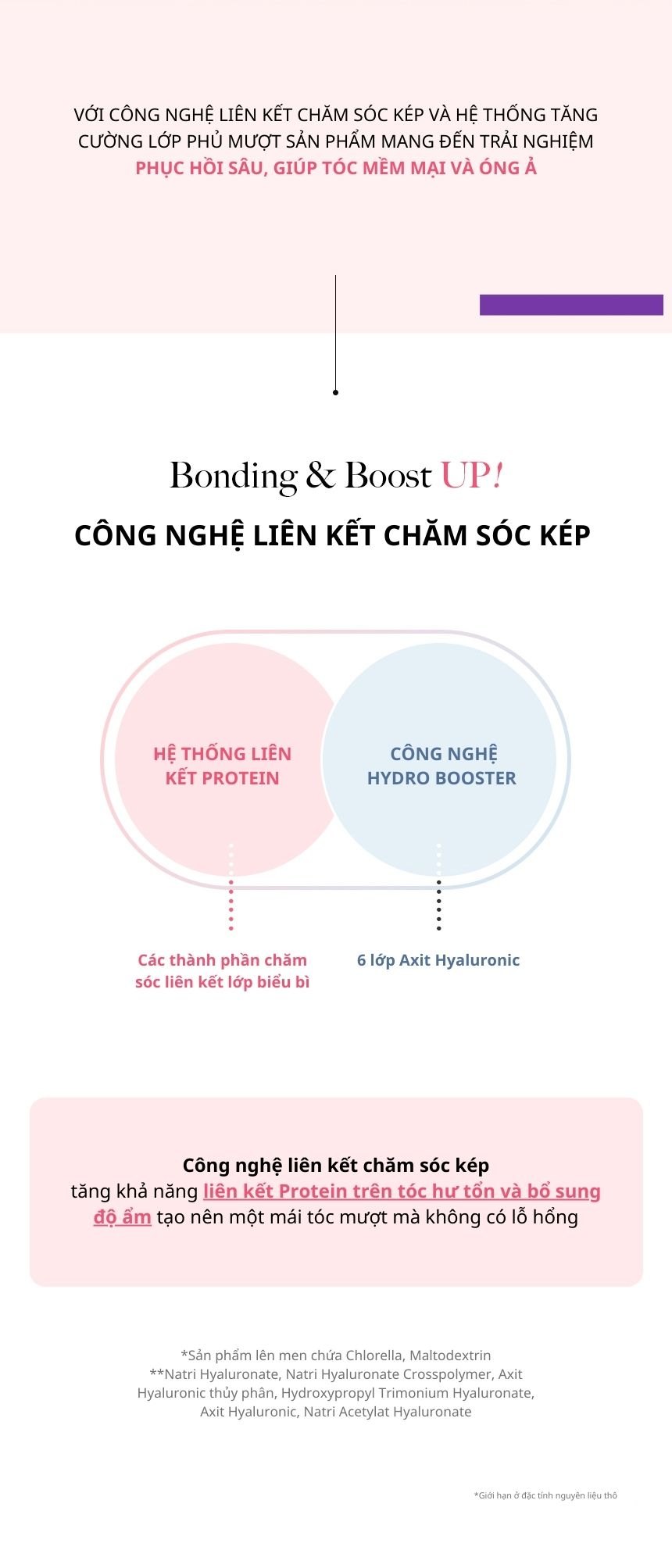 Dầu Gội Chăm Sóc Tóc Hư Tổn KUNDAL Protein Bonding 500ml