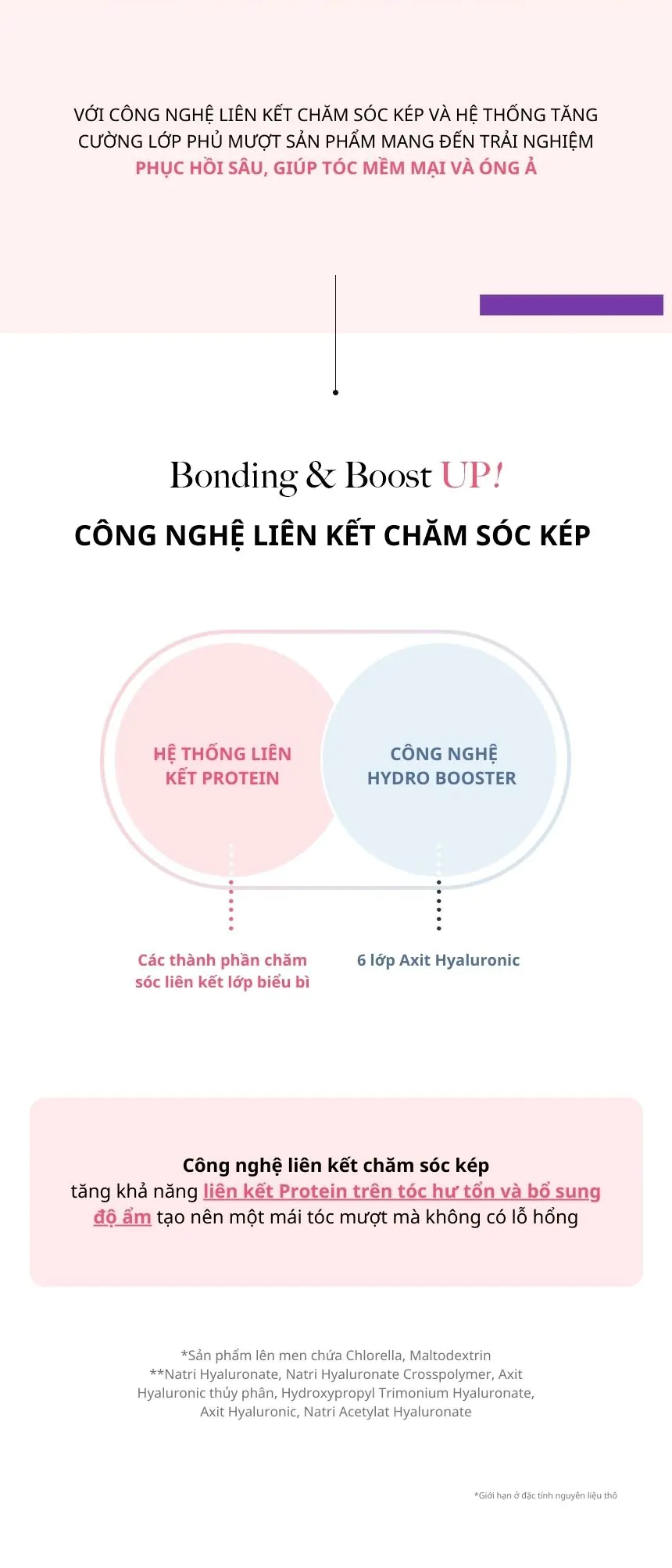Dầu Gội Chăm Sóc Tóc Hư Tổn KUNDAL Protein Bonding 500ml