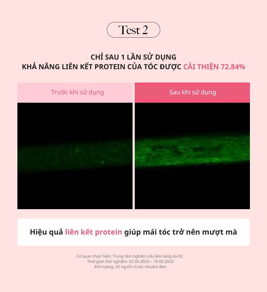 Dầu Xả Chăm Sóc Tóc Hư Tổn KUNDAL Protein Bonding 250ml