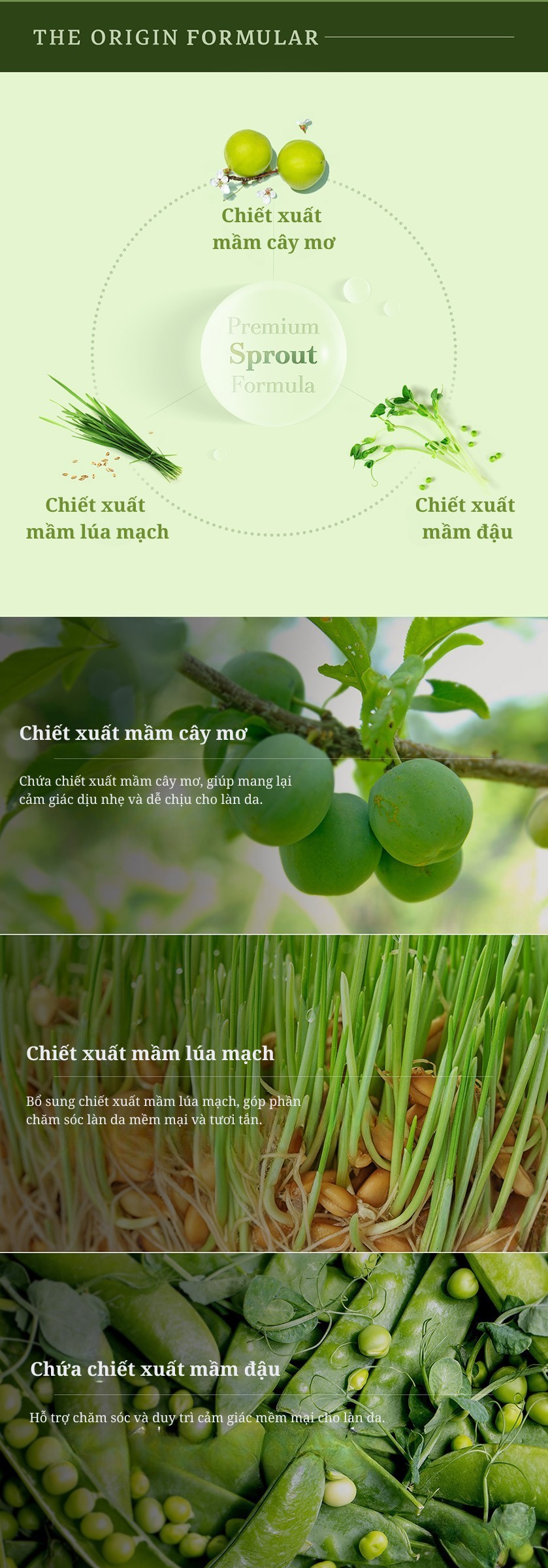 Khăn Ướt BABY CARE NATURE Hàn Quốc 80Tờ/360G