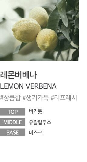 Lemon Verbena