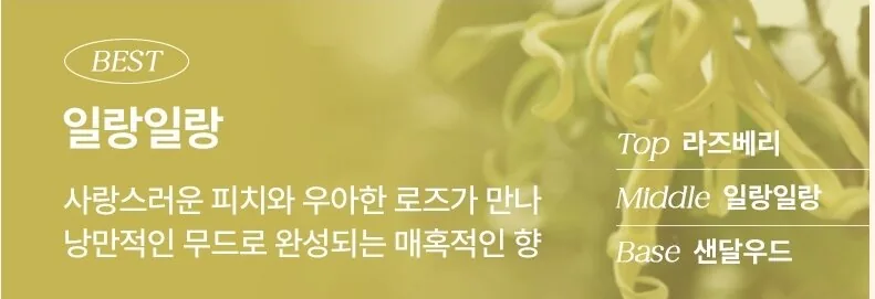 일랑일랑 — 피치와 로즈의 매혹적인 향, Top 라즈베리 Middle 일랑일랑 Base 샌달우드