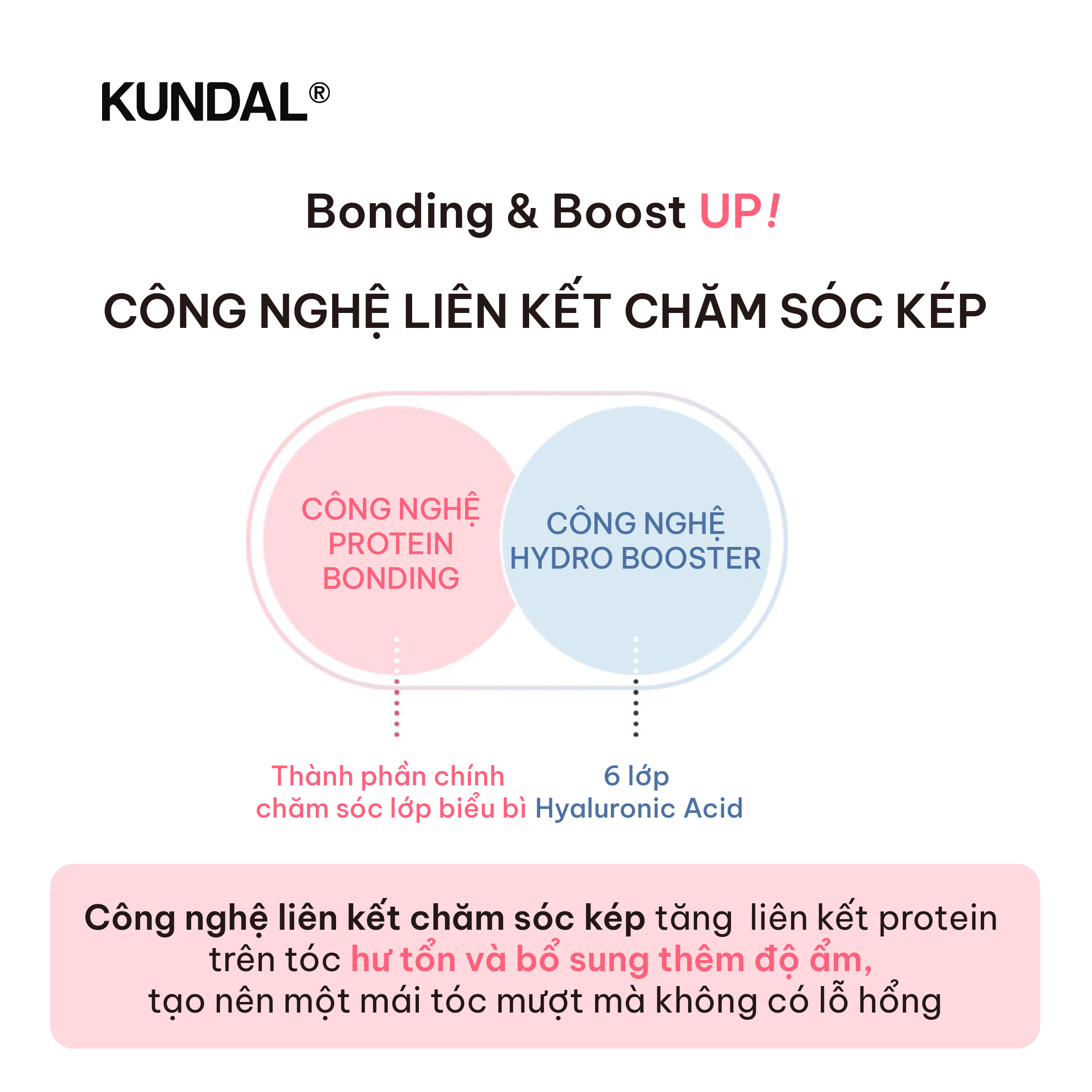 Dầu Xả Chăm Sóc tóc Hư Tổn KUNDAL Protein Bonding 250ml · tài liệu tiếng Việt