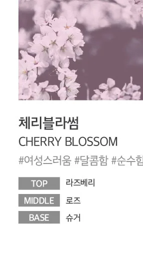 체리블라썸 — 여성스러움 달콤함 순수함, Top 라즈베리 Middle 로즈 Base 슈거
