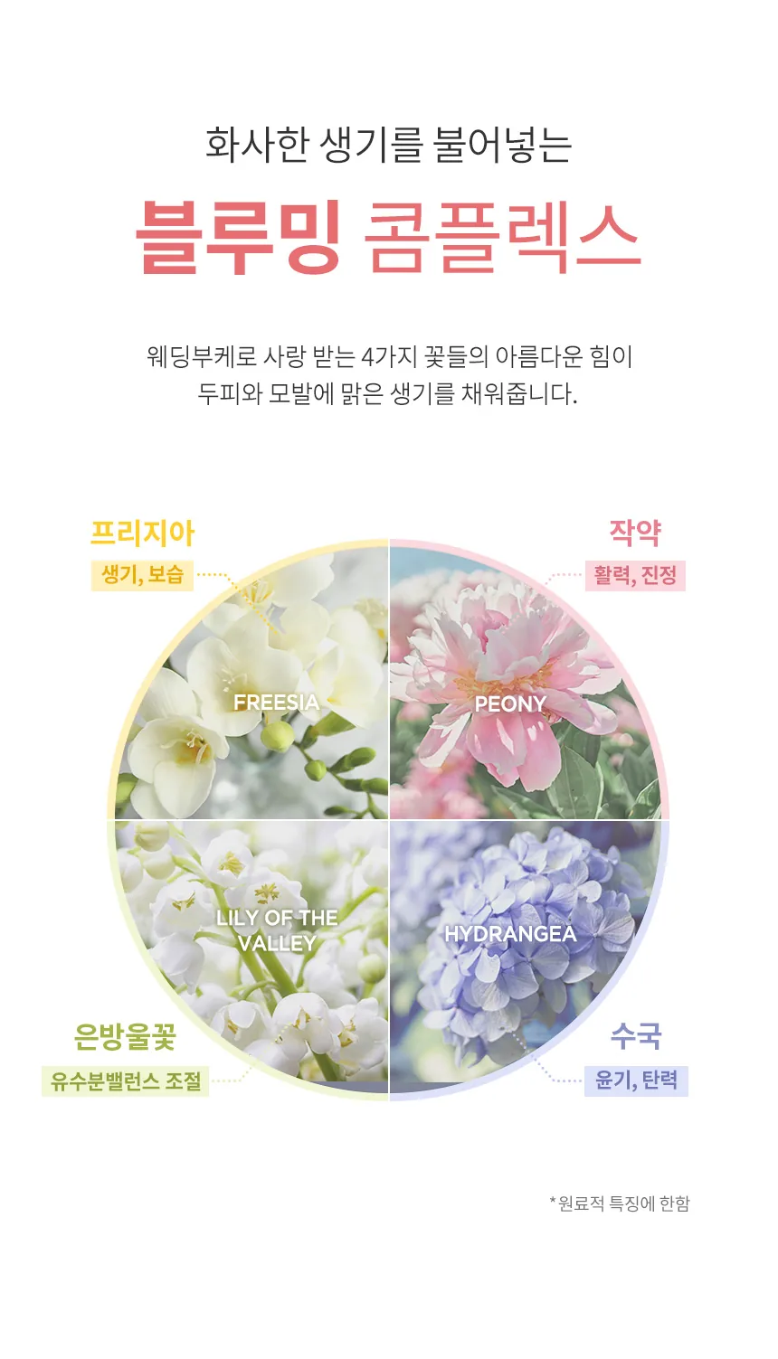 밀크바오밥 트리트먼트 - 플로라부케 상세 이미지