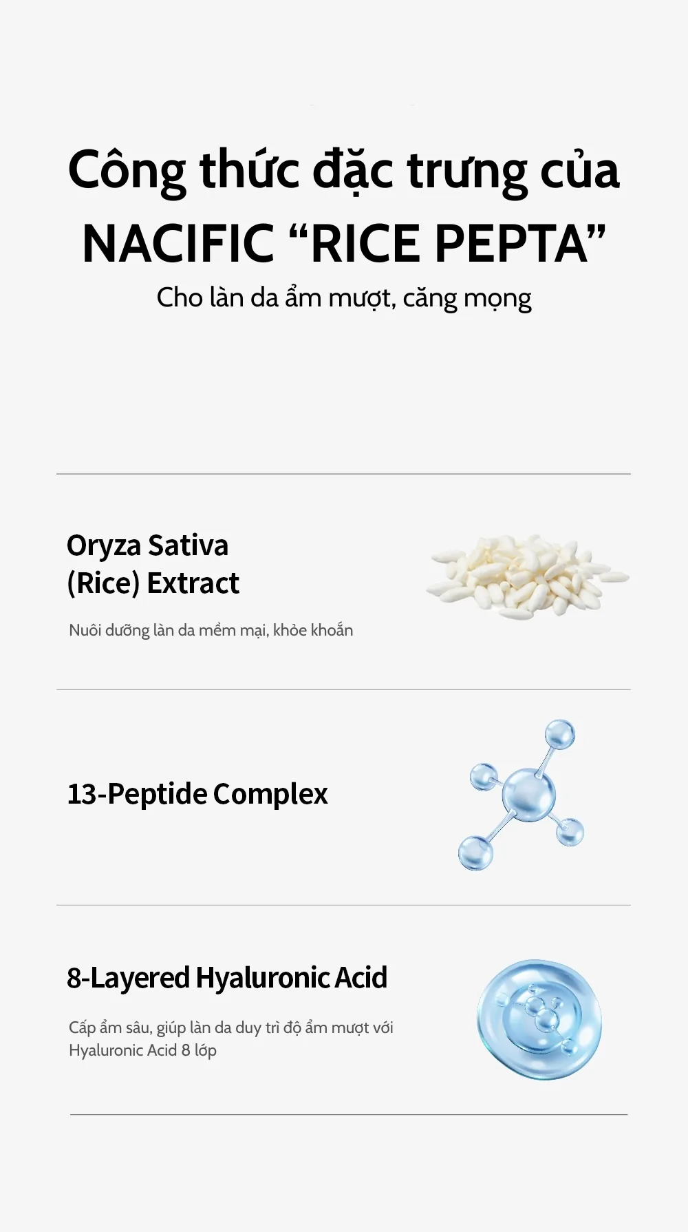 네시픽 라이스 펩타 콜라겐 겔 마스크 chi tiết 5