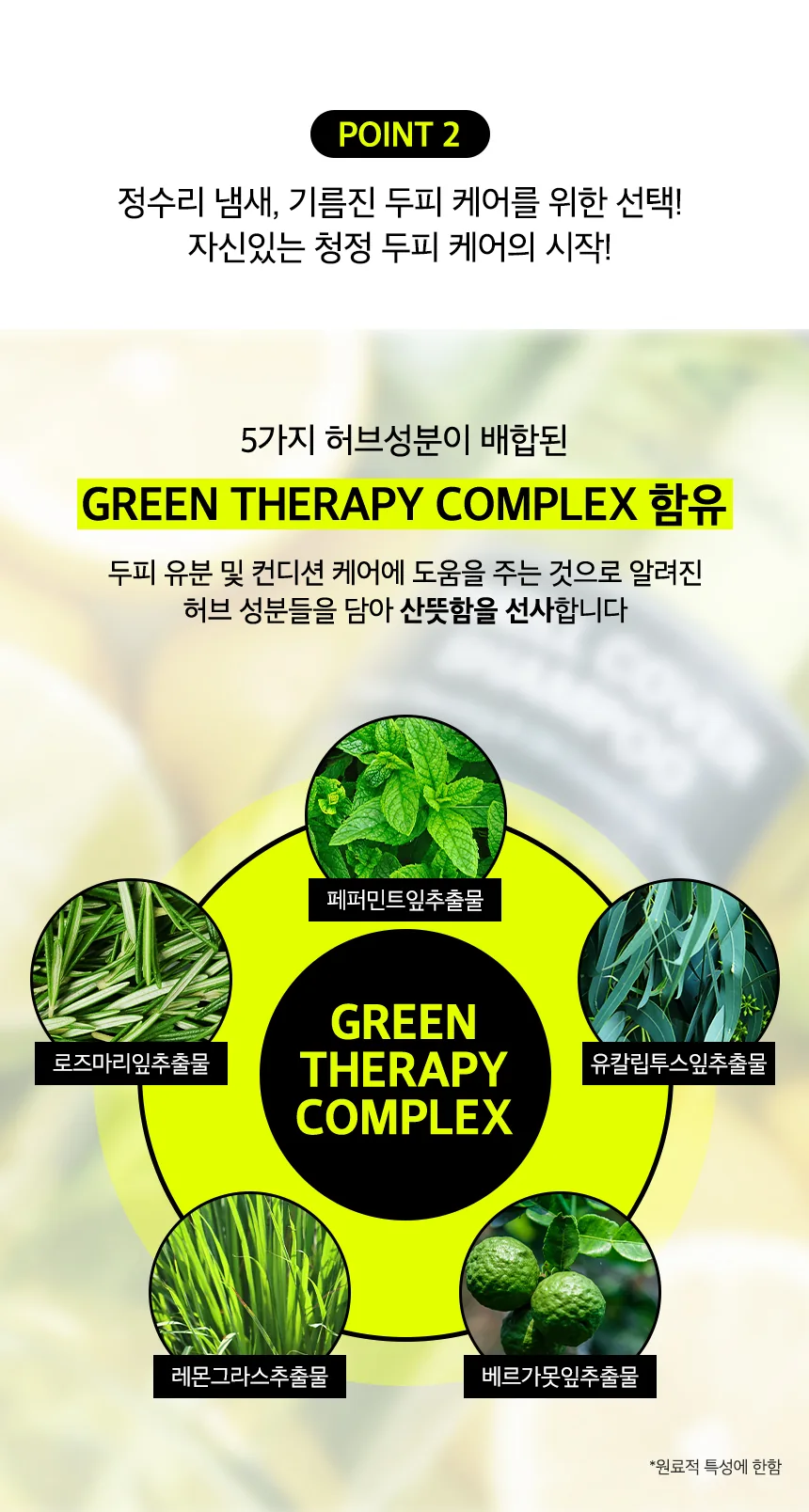 쿤달 올데이 스멜커버 청소년샴푸 상세페이지 11