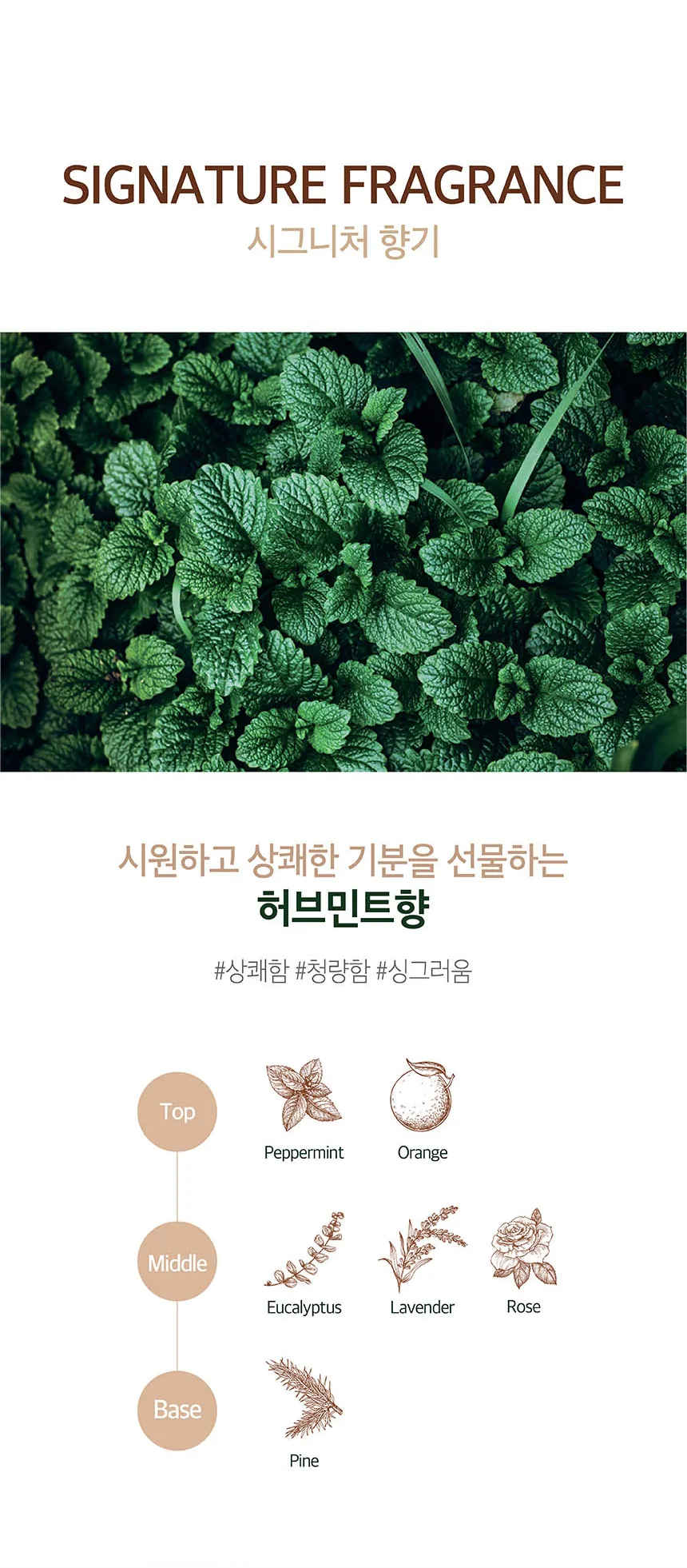 쿤달 맥주효모 탈모케어 샴푸 상세페이지 18