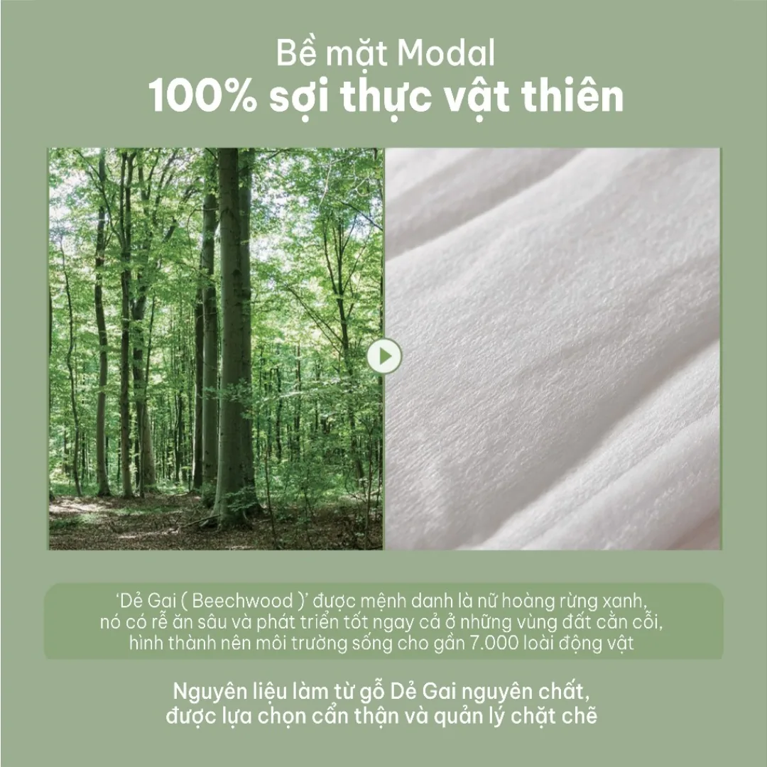 DEAR SKIN REAL MODAL chi tiết 3