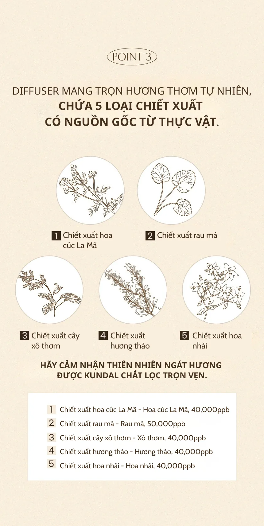 쿤달_리치퍼퓸_디퓨저 chi tiết 7
