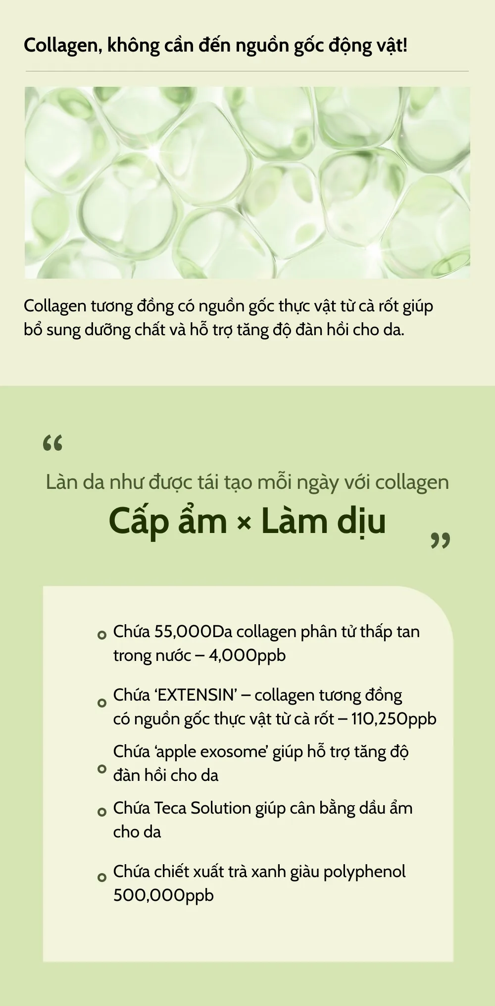 네시픽 그린티시카 콜라겐 겔마스크 VN 4