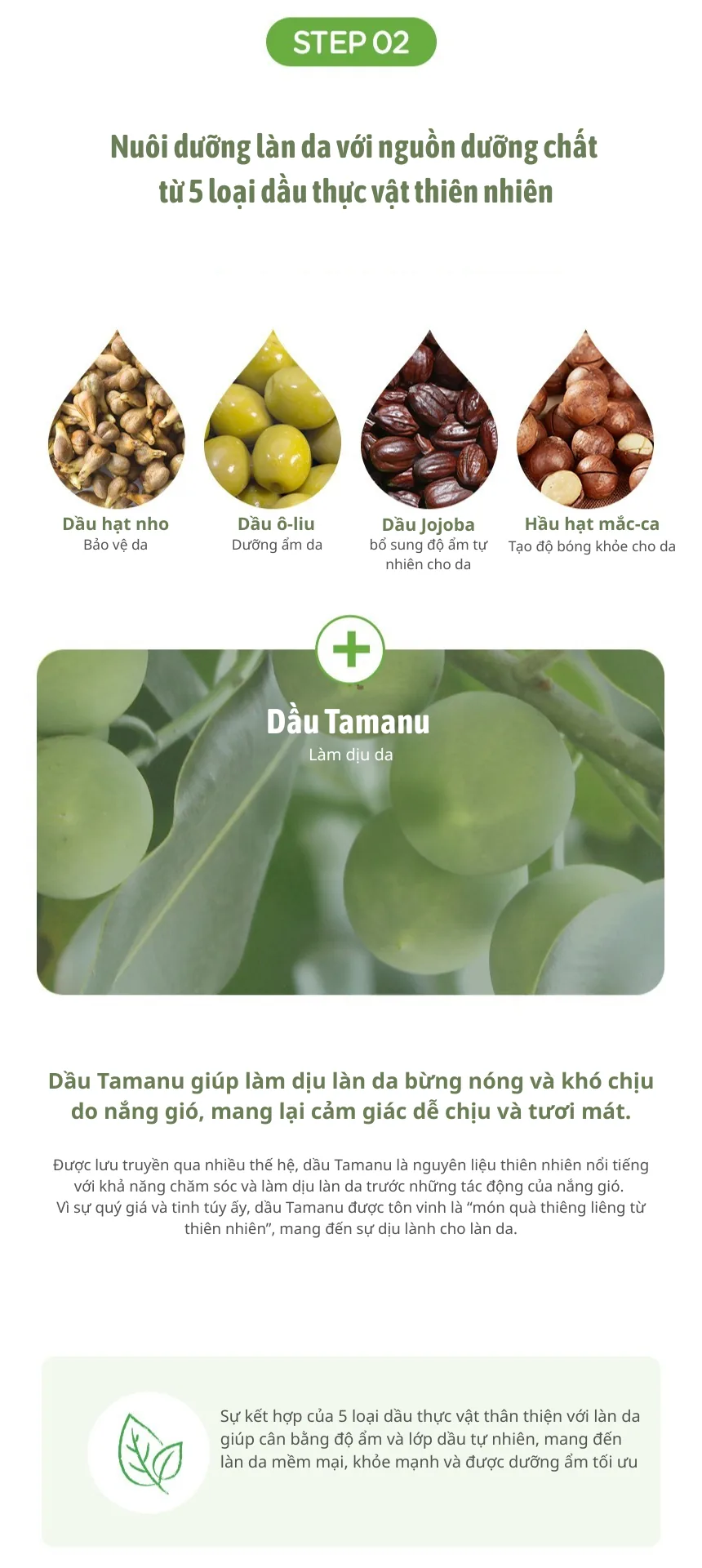 Milk Baobab chi tiết 5