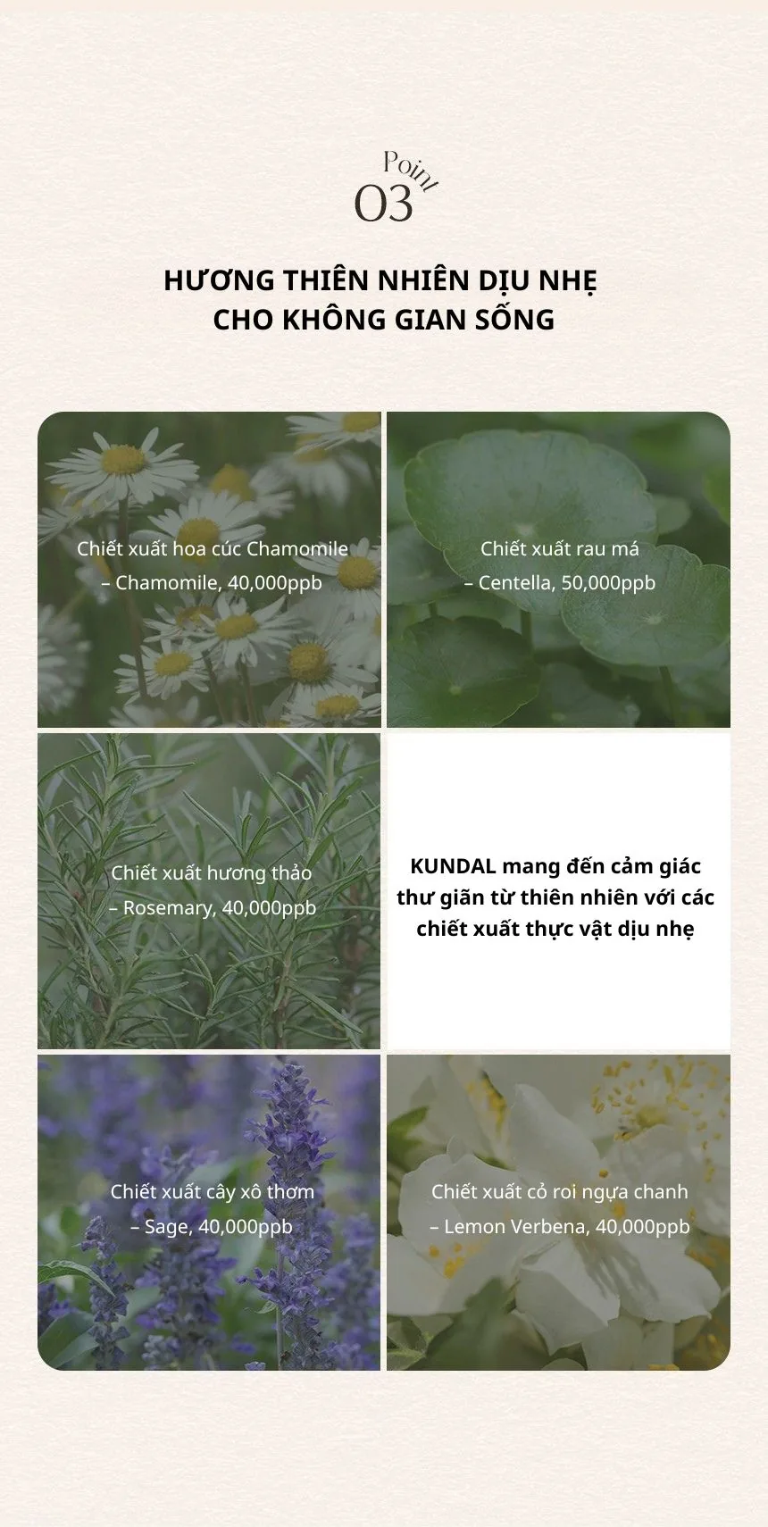 쿤달_퍼퓸_디퓨저 chi tiết 8