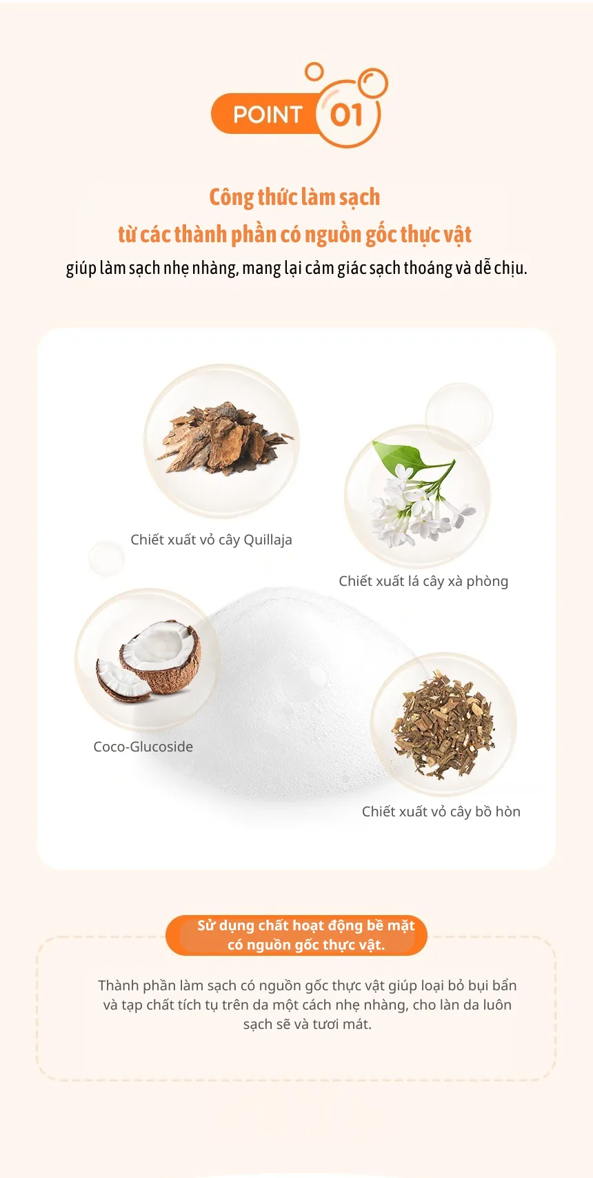 Milk Baobab chi tiết 2