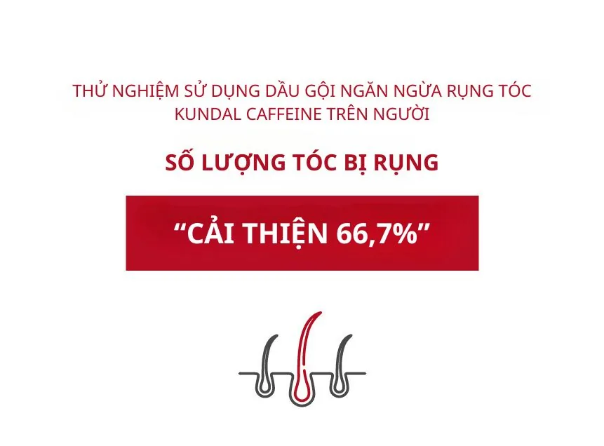 쿤달_카페인_탈모케어샴푸 chi tiết 14